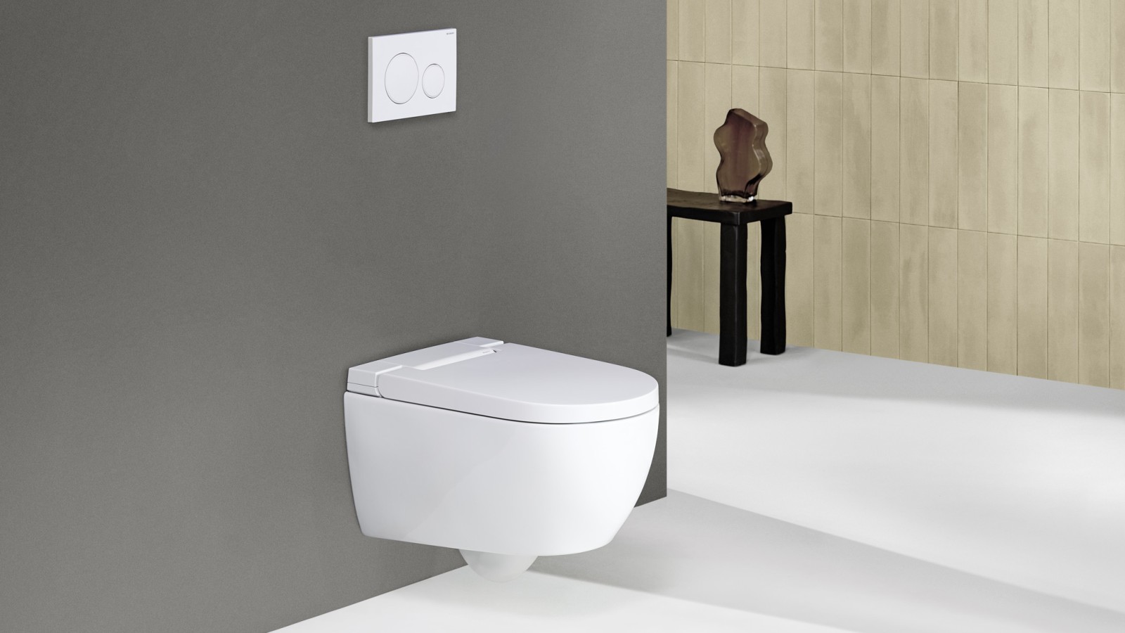Geberit AquaClean Alba
